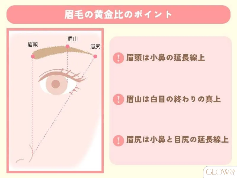 眉毛　黄金比FV